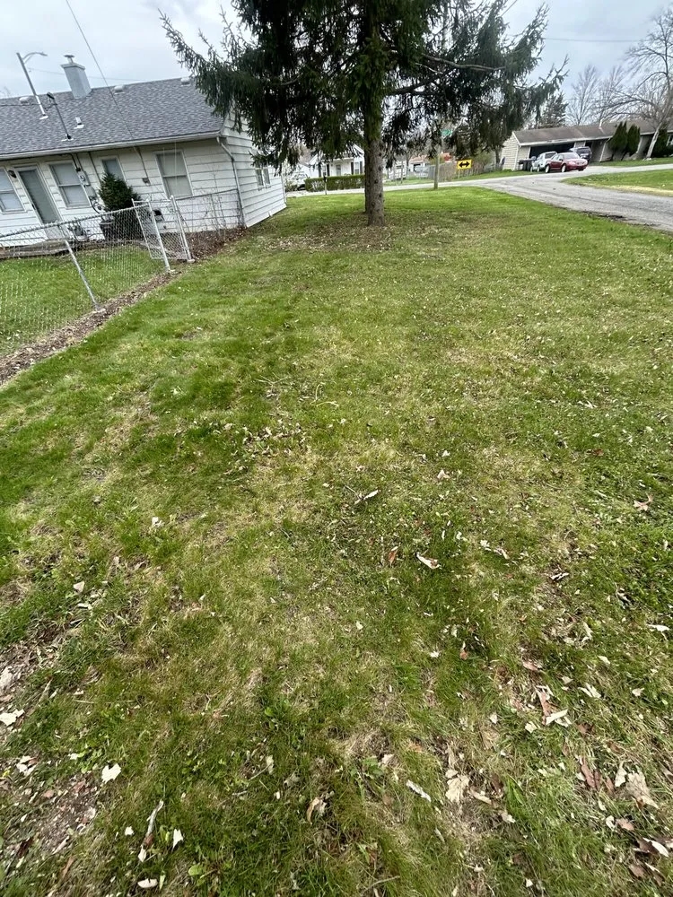 Top-rated landscaping services in Fort Wayne, IN by Greenhopper Lawn Care Service