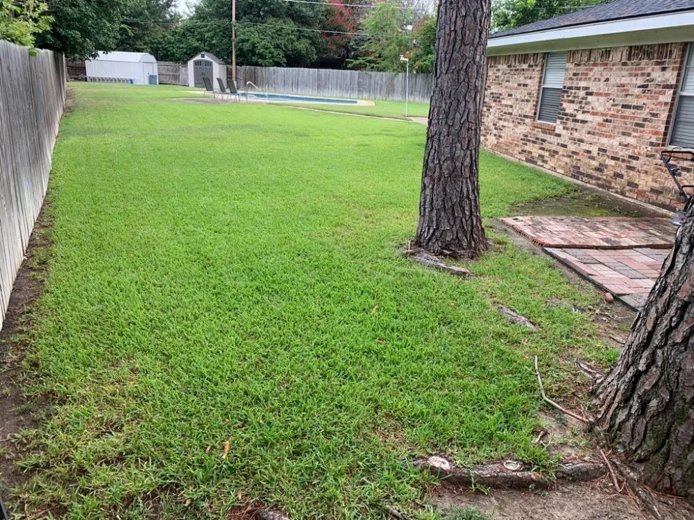 Affordable yard cleanup service in Arlington, TX by GreenHound Landscaping