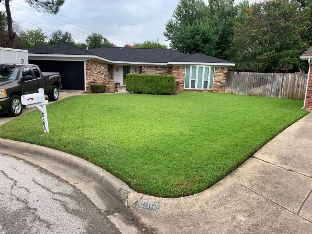 Custom yard cleanup service in Arlington, TX by GreenHound Landscaping