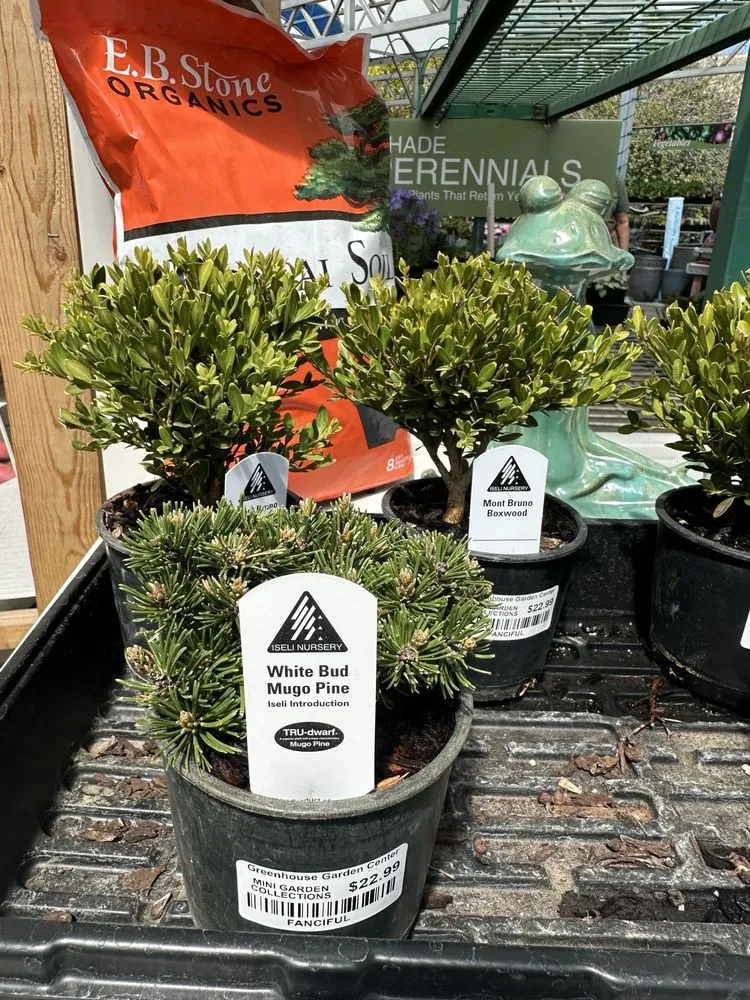 Top-rated landscape installation for homes across Carson City, NV - Greenhouse Garden Center & Gifts