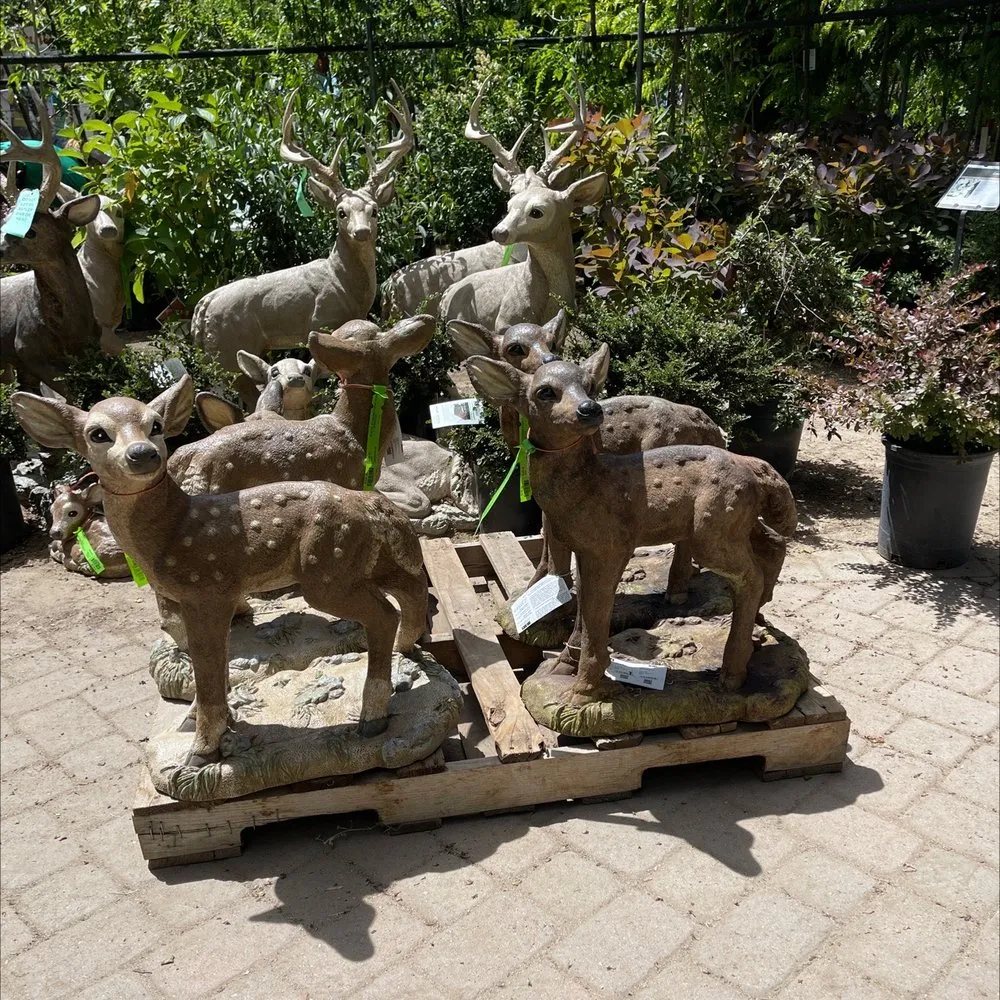 Custom residential landscaping for year-round maintenance in Carson City, NV by Greenhouse Garden Center & Gifts