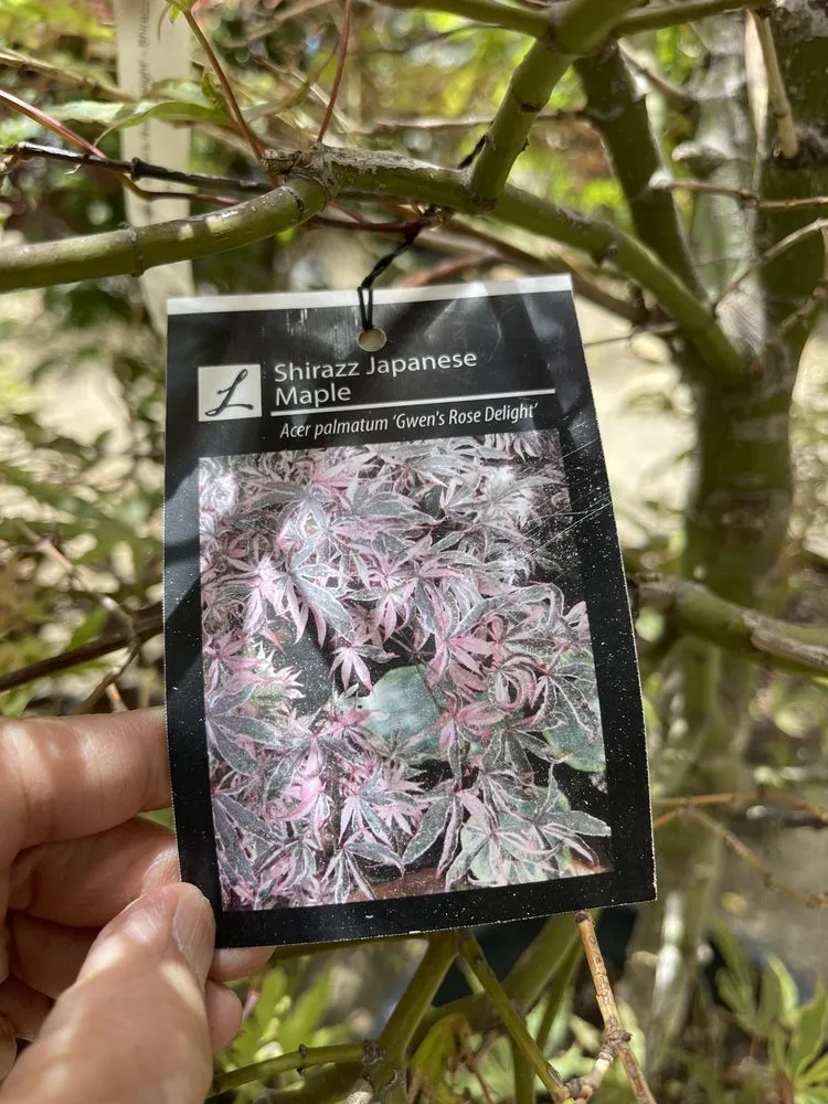 Trusted landscape design for year-round maintenance across Carson City, NV - Greenhouse Garden Center & Gifts