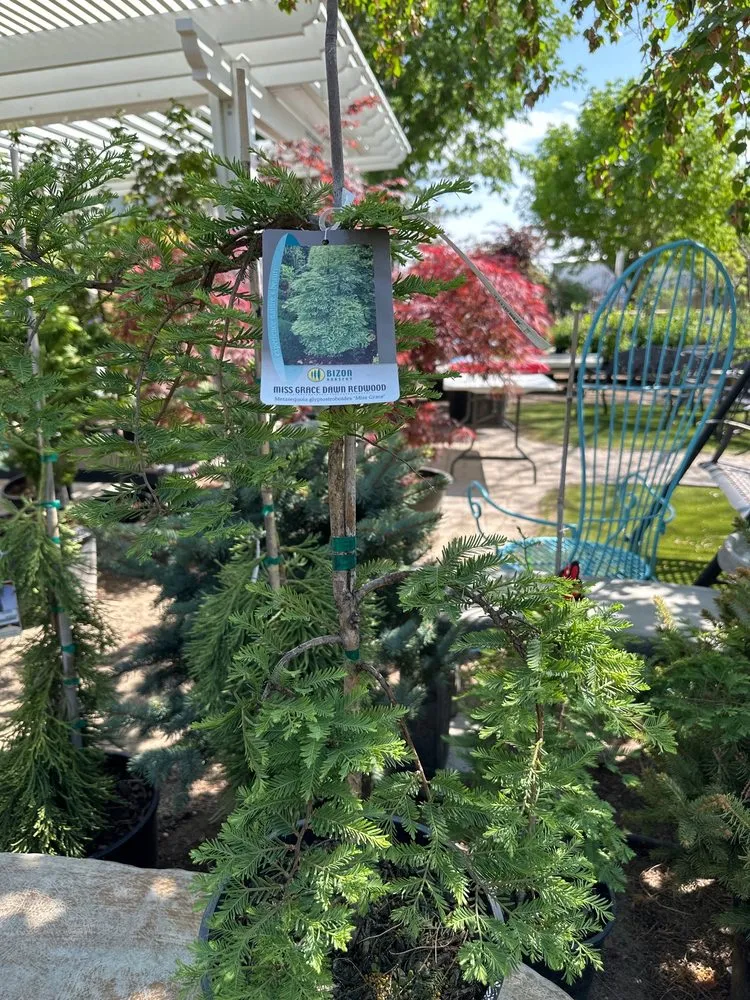 Top-rated landscape installation in Carson City, NV by Greenhouse Garden Center & Gifts