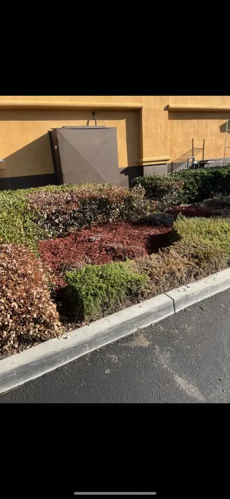 Professional garden landscaping in City of Industry, CA - Greenhouse landscaping