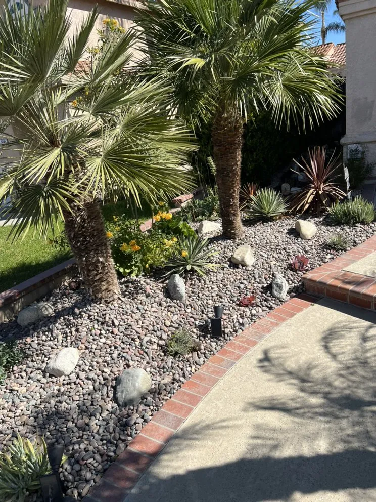 Professional yard cleanup service experts serving City of Industry, CA - Greenhouse landscaping