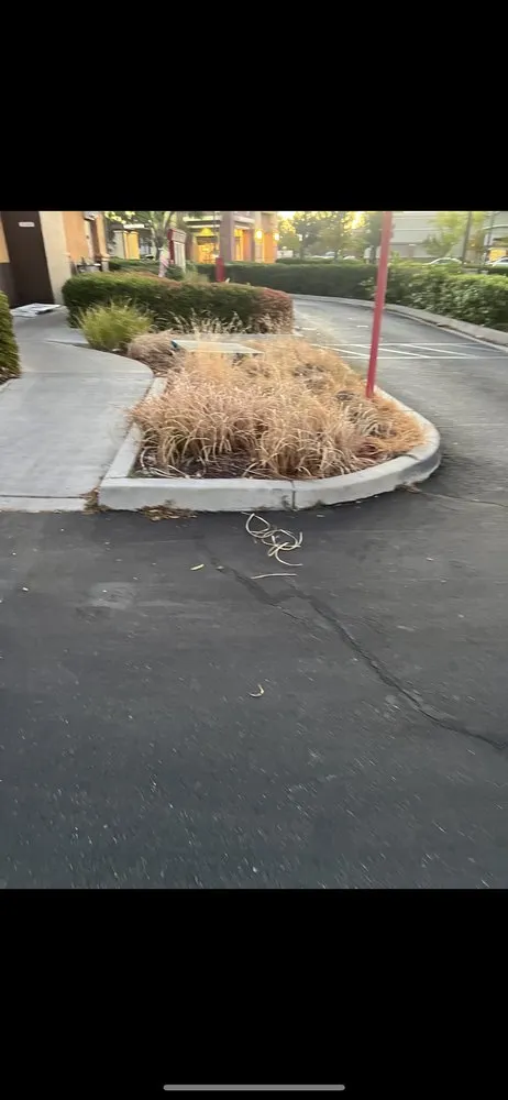 Expert landscaping services experts serving City of Industry, CA - Greenhouse landscaping