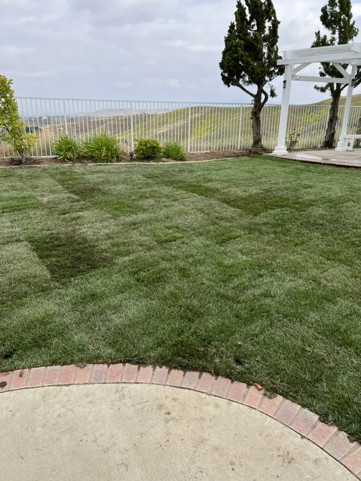 Trusted residential landscaping near you in City of Industry, CA by Greenhouse landscaping