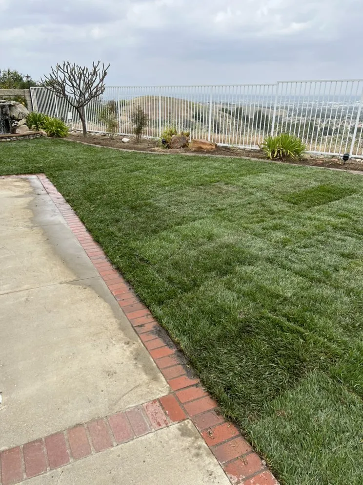 Reliable outdoor landscaping in City of Industry, CA by Greenhouse landscaping