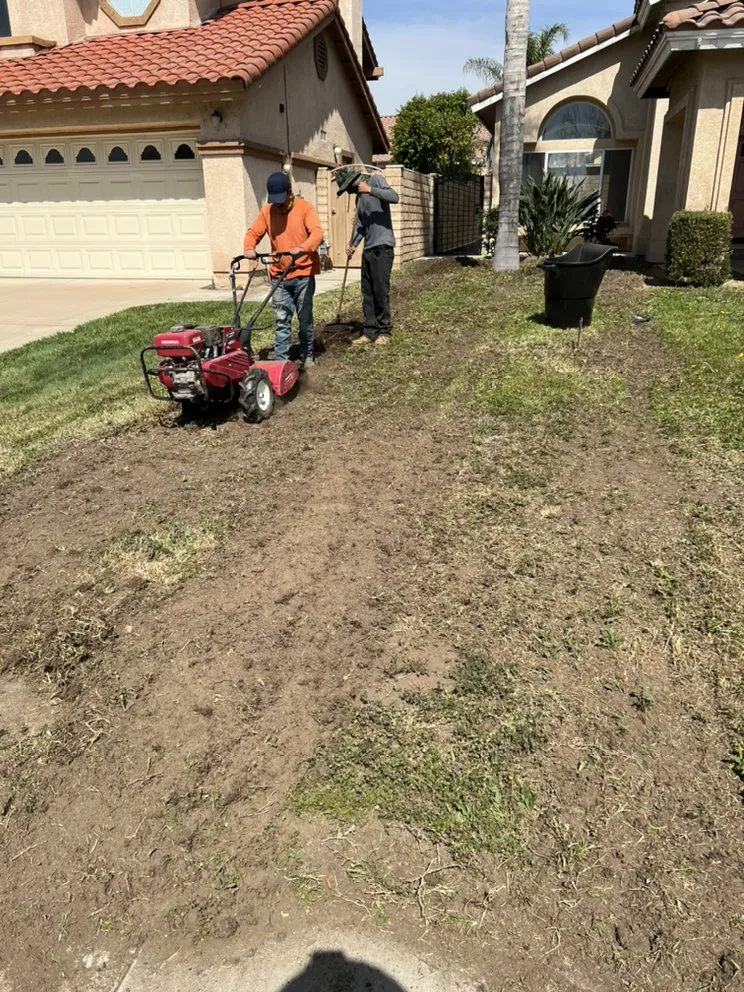 Custom landscaping services for beautiful yards across City of Industry, CA - Greenhouse landscaping