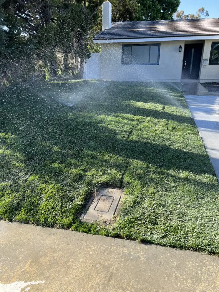 Expert landscape design experts serving City of Industry, CA - Greenhouse landscaping