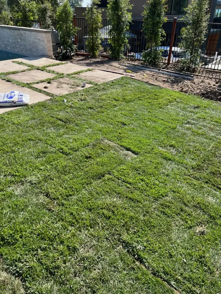 Custom landscape installation for year-round maintenance in City of Industry, CA by Greenhouse landscaping