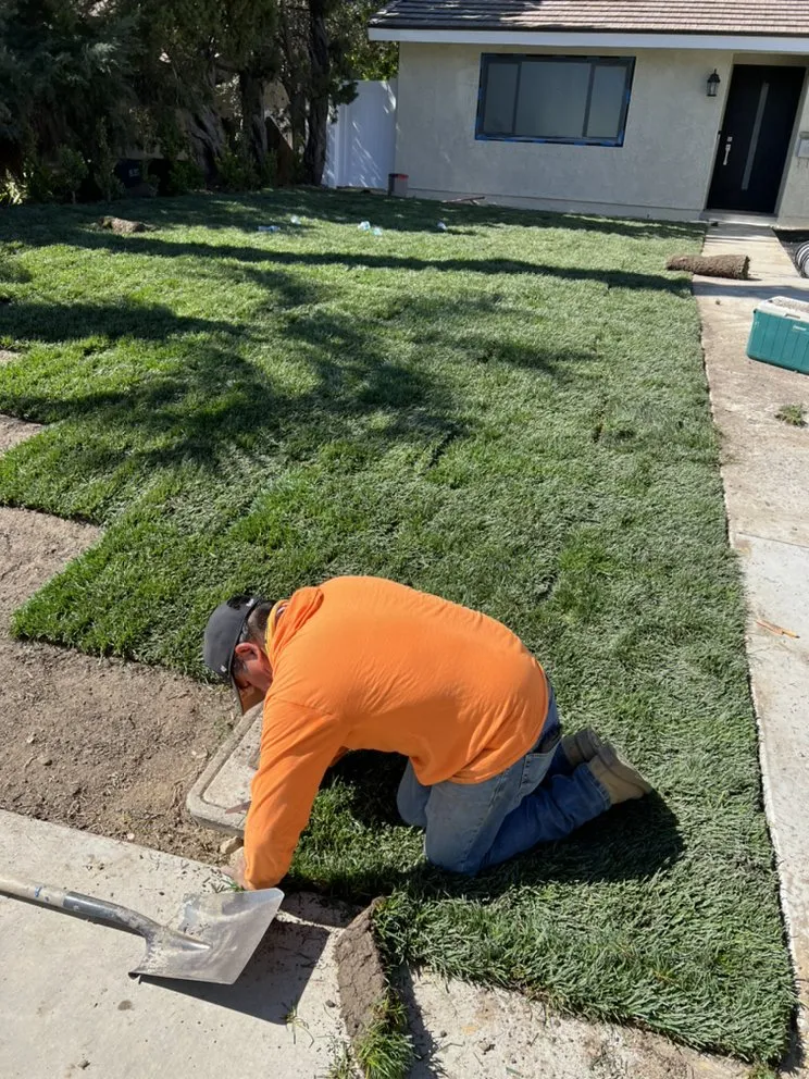 Expert landscape design for residential properties across City of Industry, CA - Greenhouse landscaping