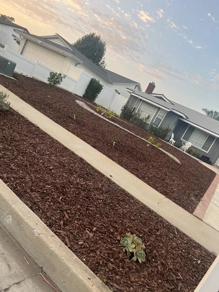 Custom yard maintenance in City of Industry, CA by Greenhouse landscaping