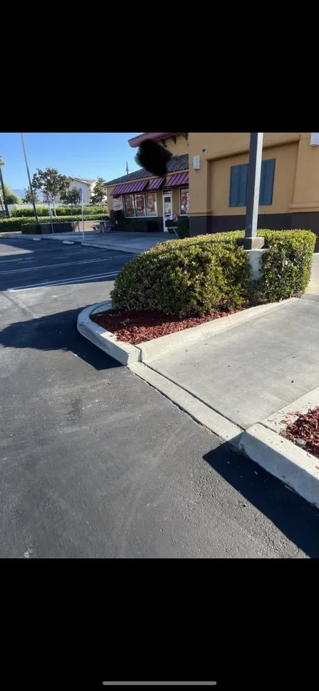 Top-rated outdoor landscaping for homes in City of Industry, CA by Greenhouse landscaping