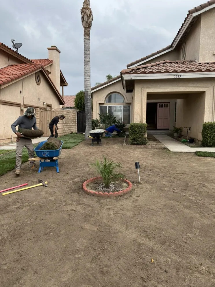 Expert outdoor landscaping experts serving City of Industry, CA - Greenhouse landscaping