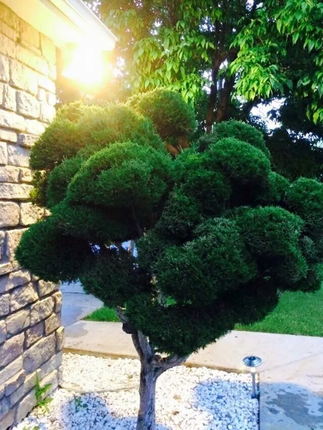 Trusted landscape installation in Westminster, CO - GreenHouse Lawn&Lanscape