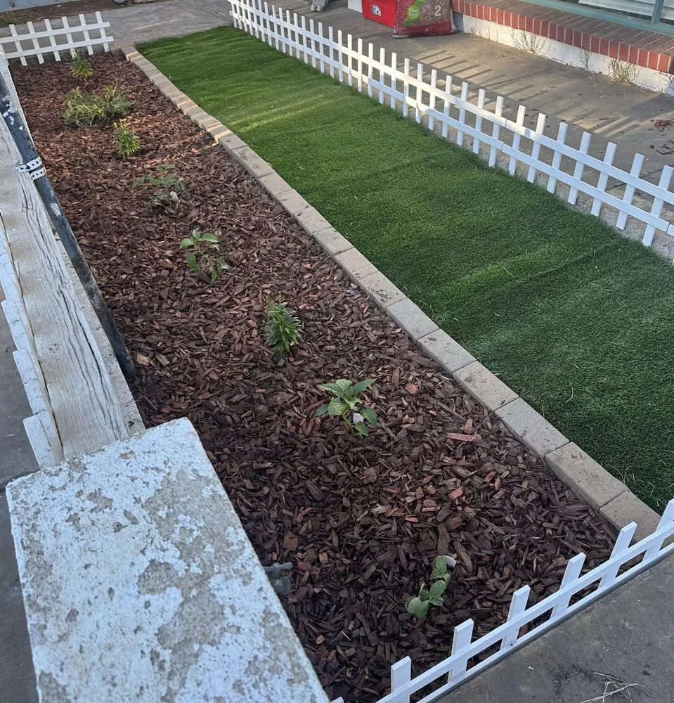 Trusted yard cleanup service in Henderson, NV - Greenie Genie