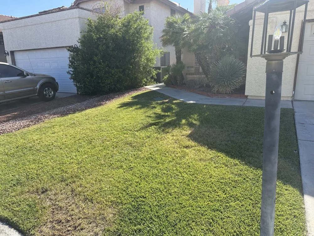 Custom lawn mowing service for outdoor upgrades in Henderson, NV by Greenie Genie