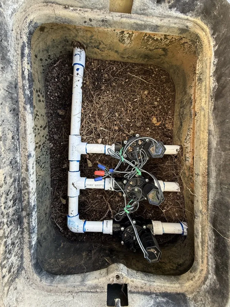 Top-rated landscape design in Henderson, NV by Greenie Genie