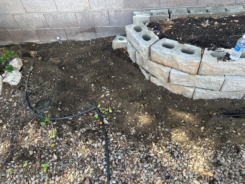 Custom landscape design in Henderson, NV - Greenie Genie