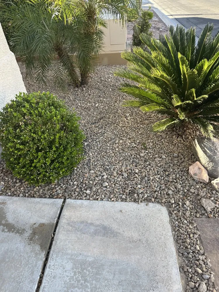 Custom landscaping services for beautiful yards in Henderson, NV by Greenie Genie