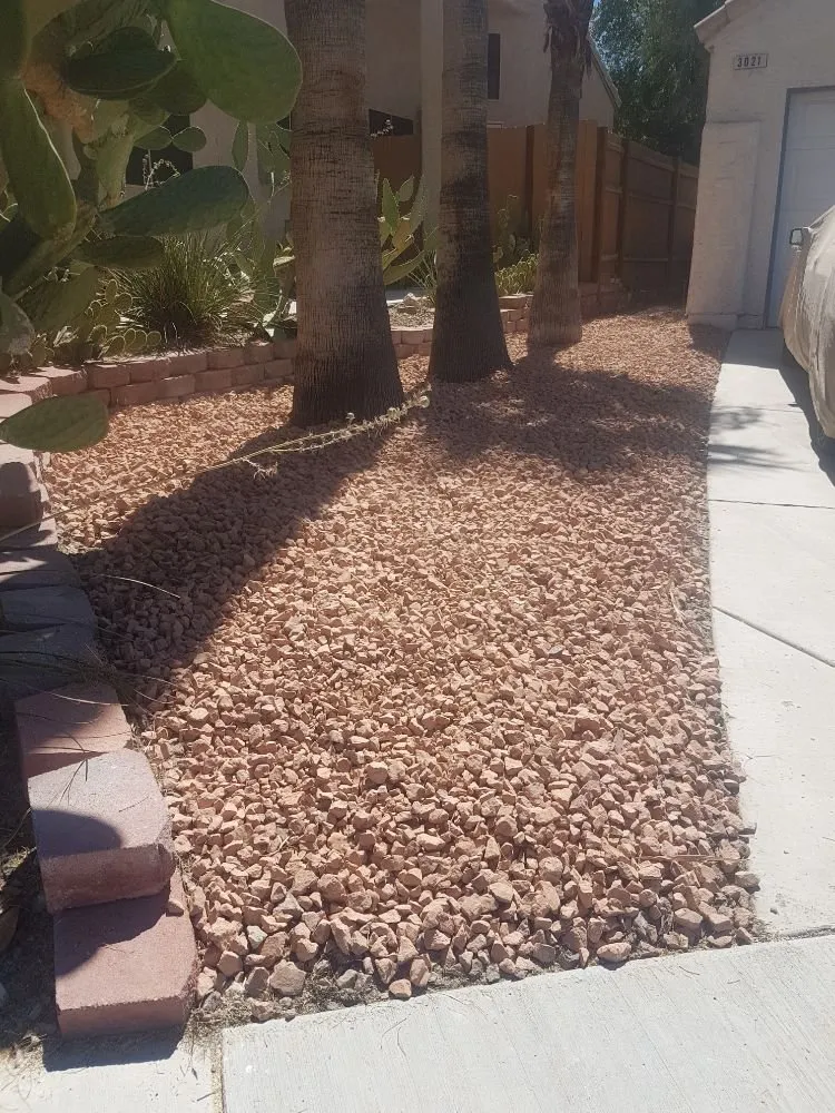 Trusted landscaping services for year-round maintenance in Grass Valley, CA by Greenify