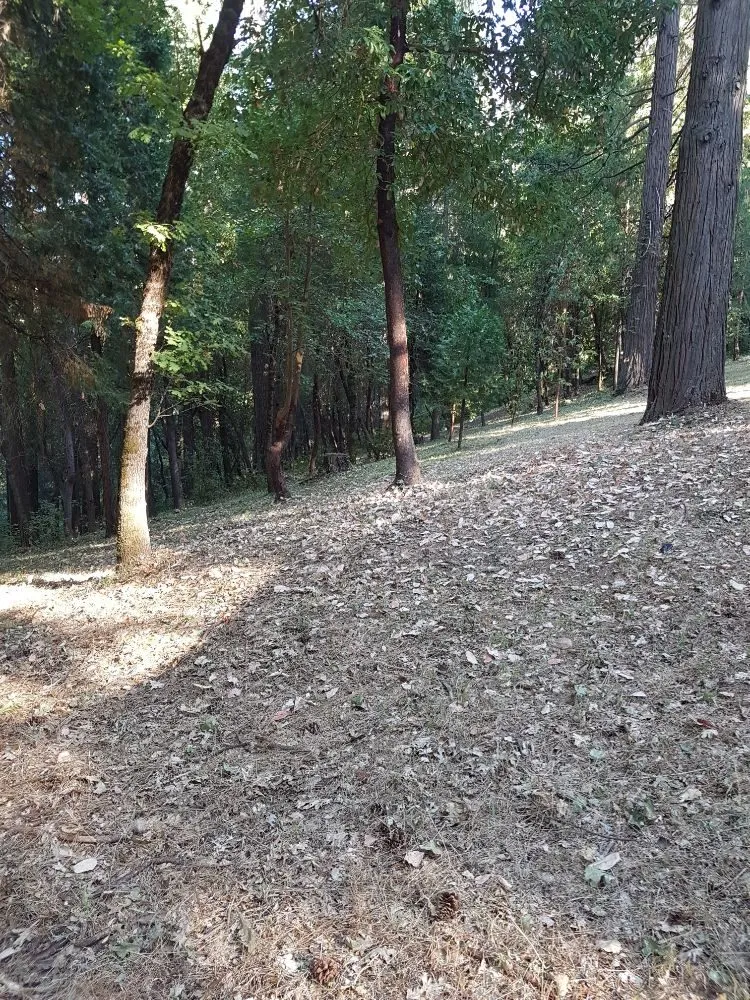 Expert residential landscaping in Grass Valley, CA - Greenify