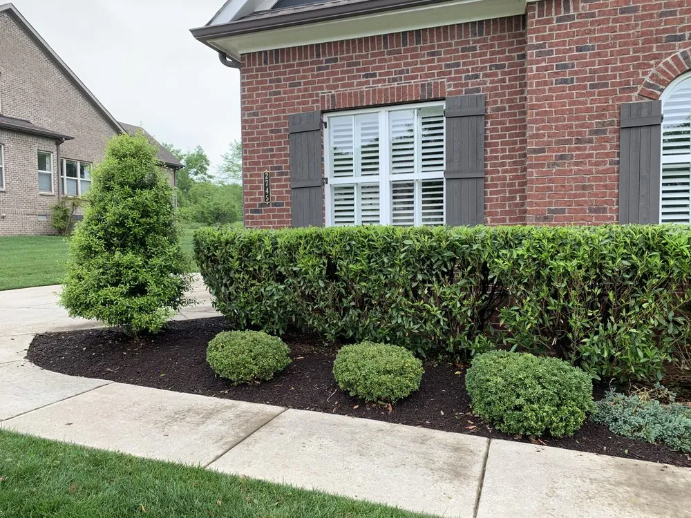 Custom residential landscaping in Ethridge, TN by Greenist Lawn and Lighting