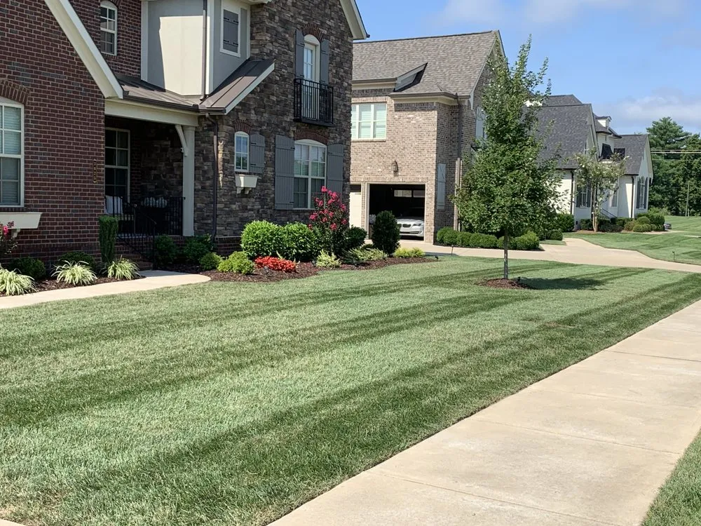 Custom yard cleanup service for residential properties across Ethridge, TN - Greenist Lawn and Lighting