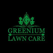 Professional yard maintenance in Pearland, TX by Greenium Lawn Care