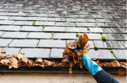 Custom yard cleanup service for residential properties in Jacksonville Beach, FL by GreenJax Lawn Care