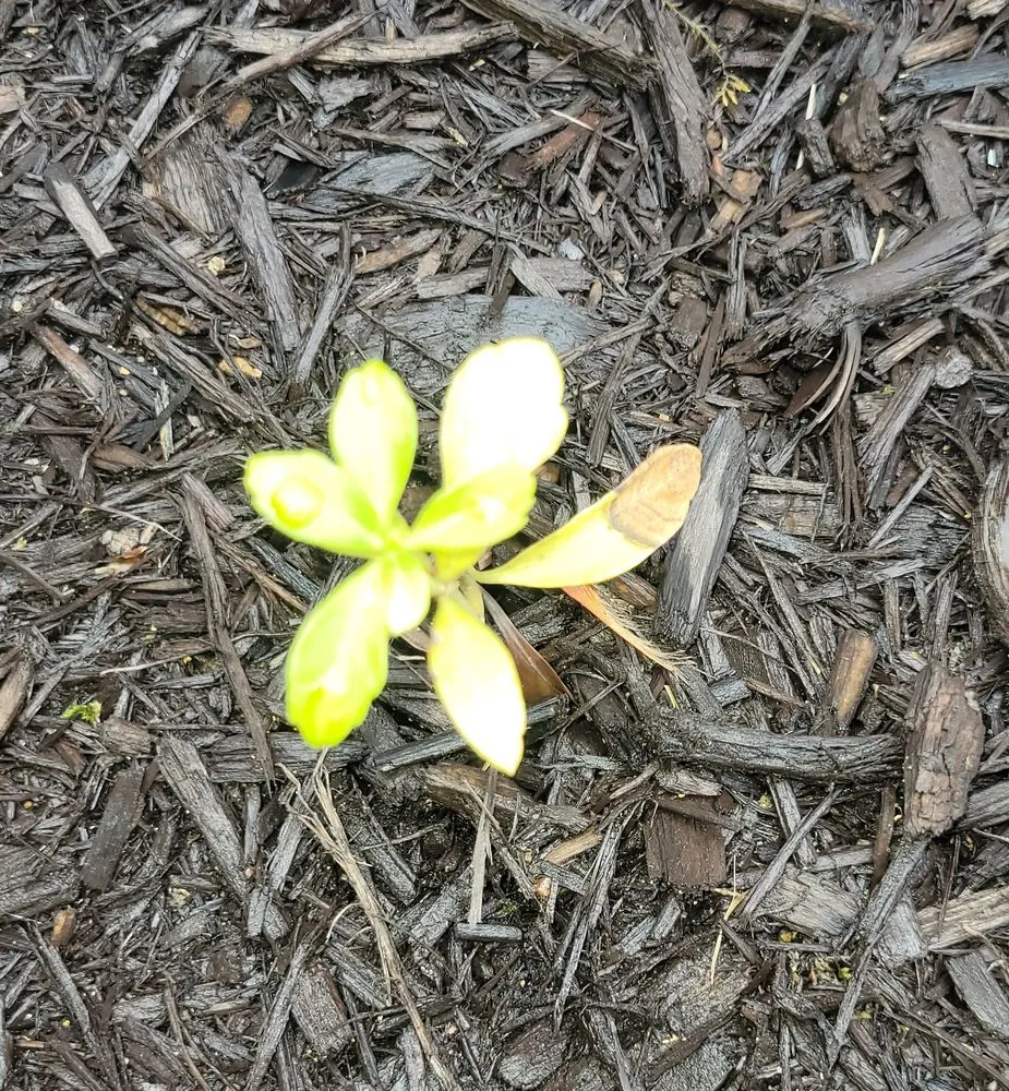 Trusted landscape installation in Medina, OH - Greenkeepers Lawn Service and Landscaping