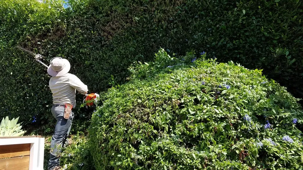 Expert landscaping services with custom design in San Fernando, CA by Greenland Gardening & Landscape