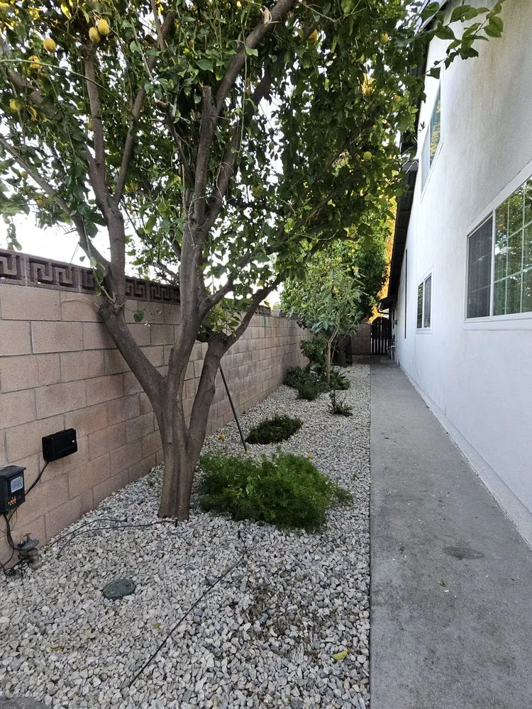 Local yard cleanup service for beautiful yards in San Fernando, CA by Greenland Gardening & Landscape