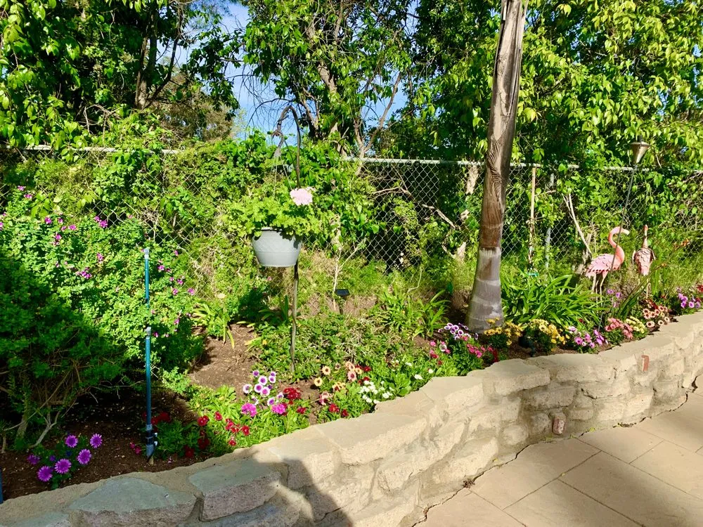 Trusted lawn mowing service in San Fernando, CA - Greenland Gardening & Landscape