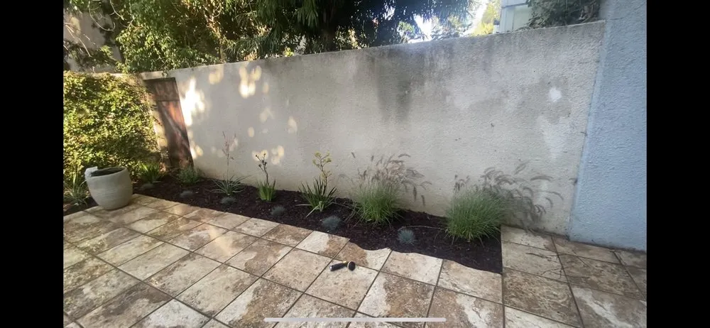 Affordable landscaping services in San Fernando, CA by Greenland Gardening & Landscape