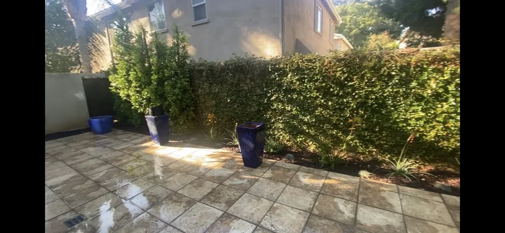 Expert landscaping services for beautiful yards across San Fernando, CA - Greenland Gardening & Landscape