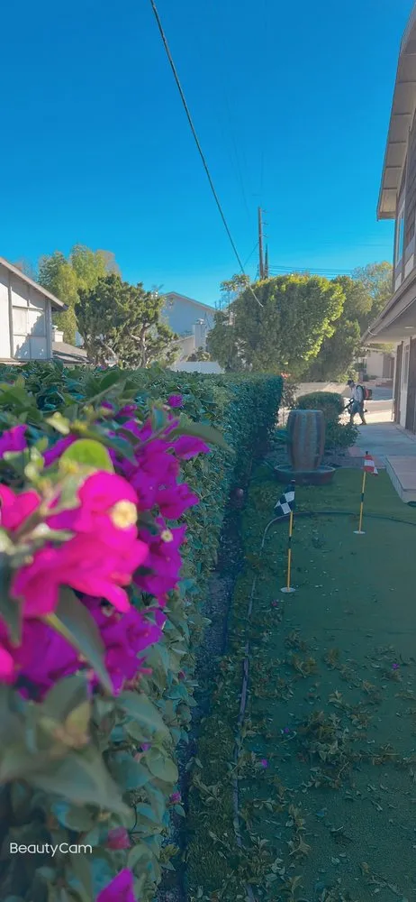 Local lawn care service in San Fernando, CA by Greenland Gardening & Landscape