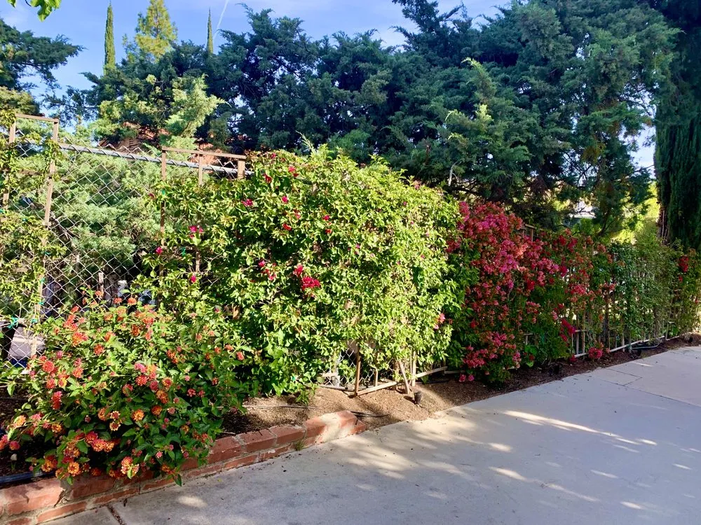 Reliable garden landscaping experts serving San Fernando, CA - Greenland Gardening & Landscape