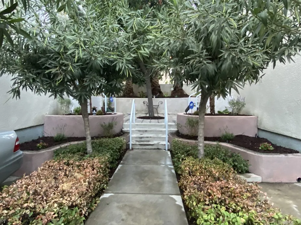 Expert lawn care service for outdoor upgrades across San Fernando, CA - Greenland Gardening & Landscape