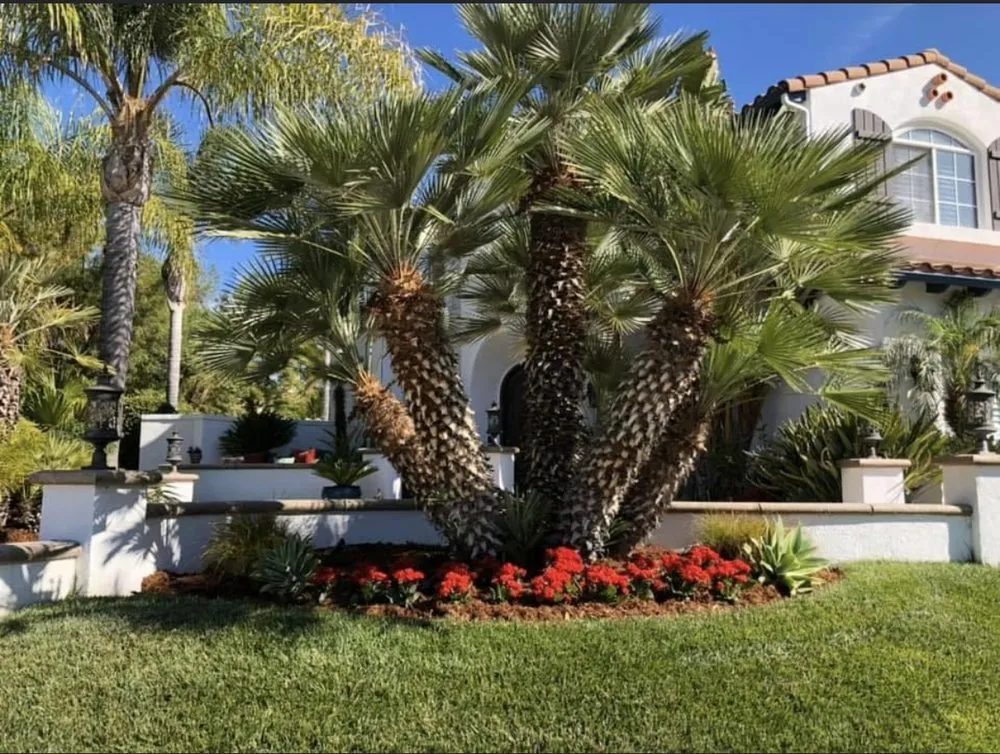 Professional outdoor landscaping for beautiful yards across San Fernando, CA - Greenland Gardening & Landscape