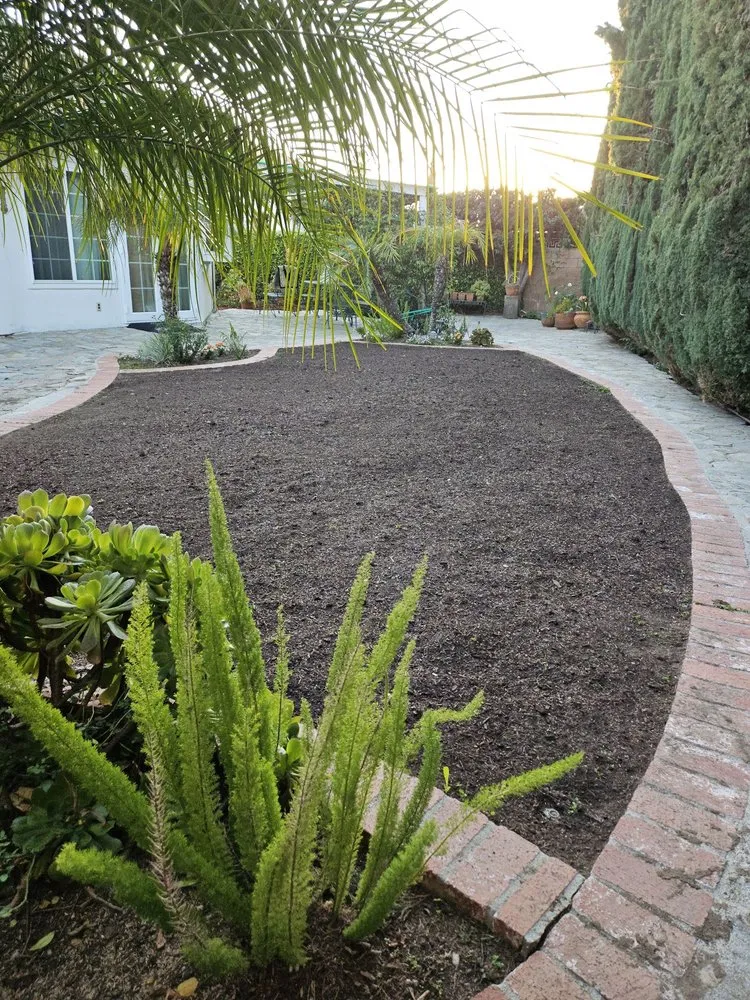 Expert lawn care service near you in San Fernando, CA by Greenland Gardening & Landscape