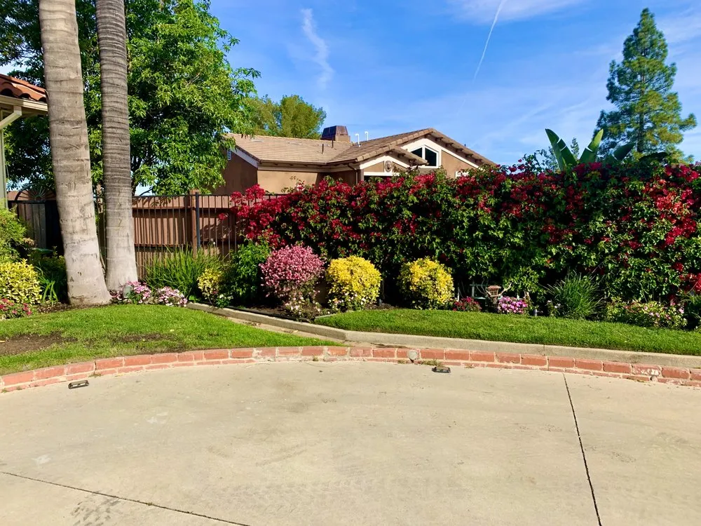 Expert yard maintenance for homes in San Fernando, CA by Greenland Gardening & Landscape