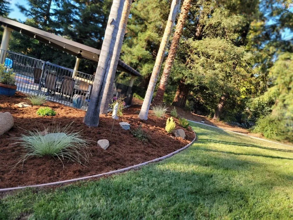 Top-rated landscape installation experts serving Foothill Farms, CA - Greenland Landscape