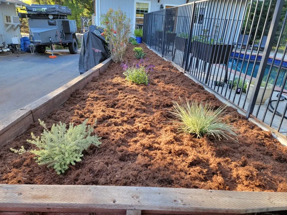 Top-rated lawn care service for beautiful yards across Foothill Farms, CA - Greenland Landscape