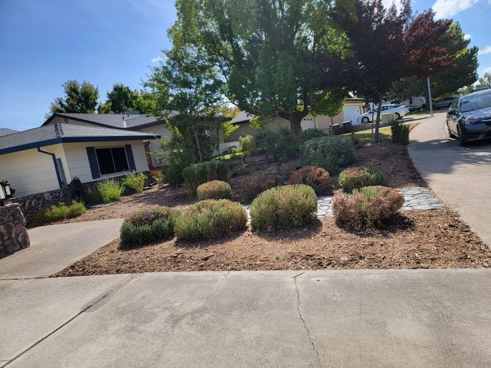 Expert residential landscaping in Foothill Farms, CA by Greenland Landscape