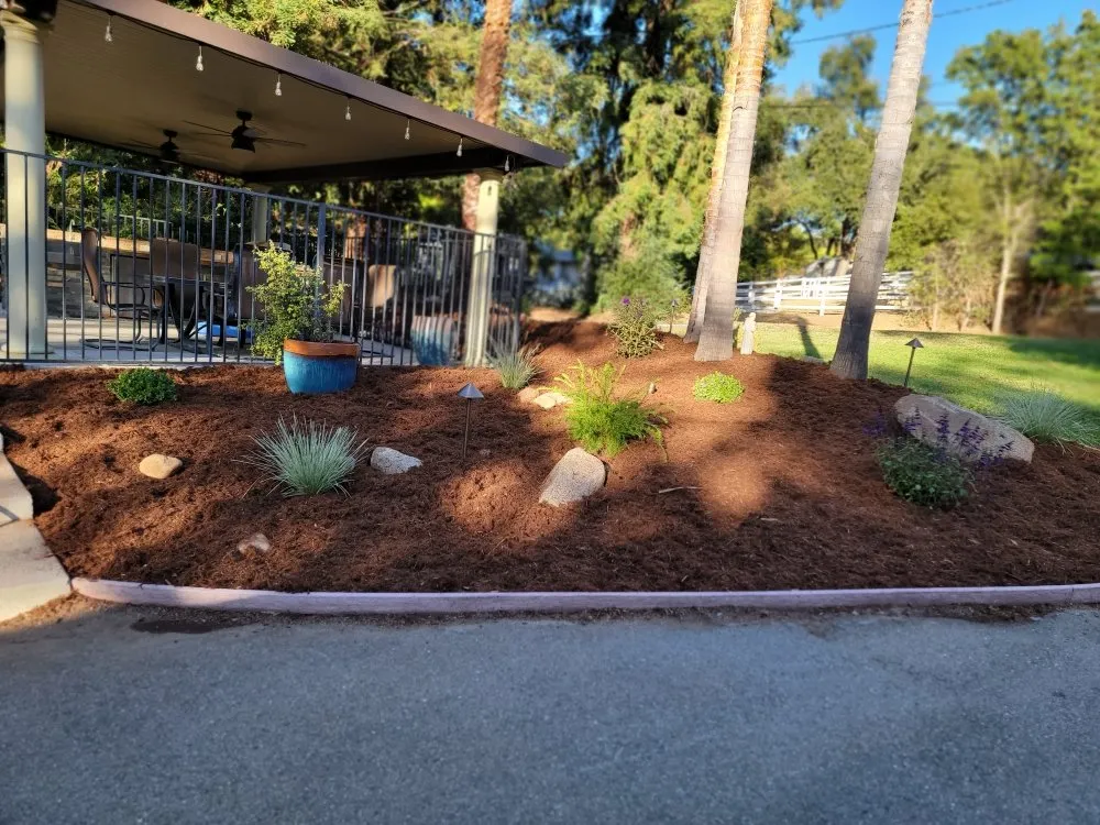 Reliable yard cleanup service in Foothill Farms, CA - Greenland Landscape