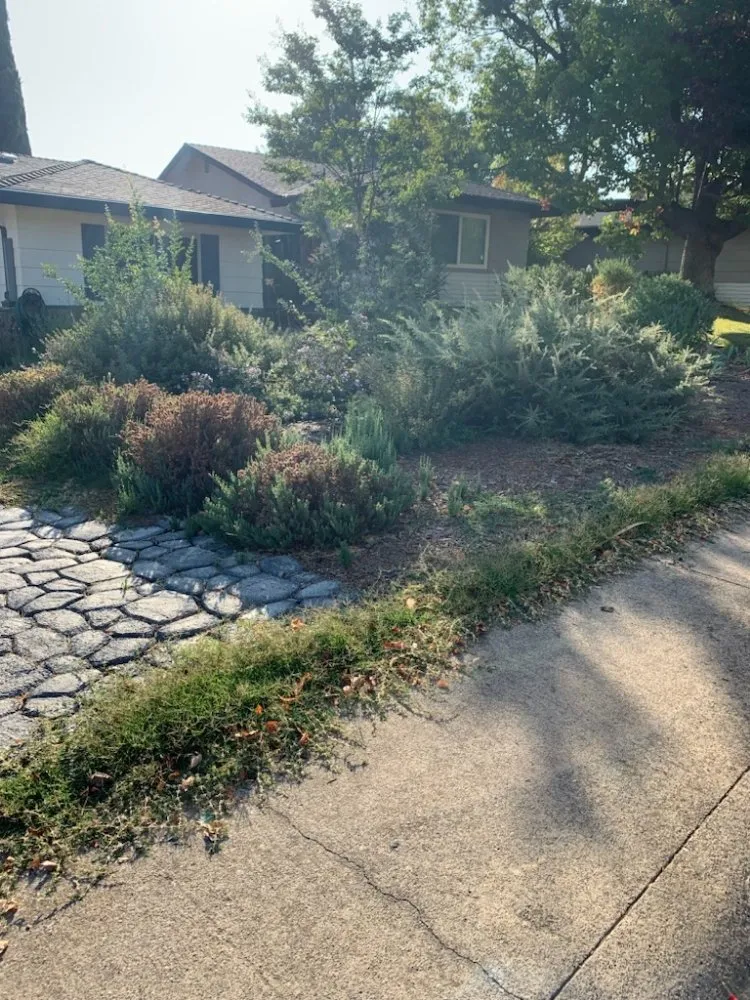 Custom landscape installation for beautiful yards in Foothill Farms, CA by Greenland Landscape