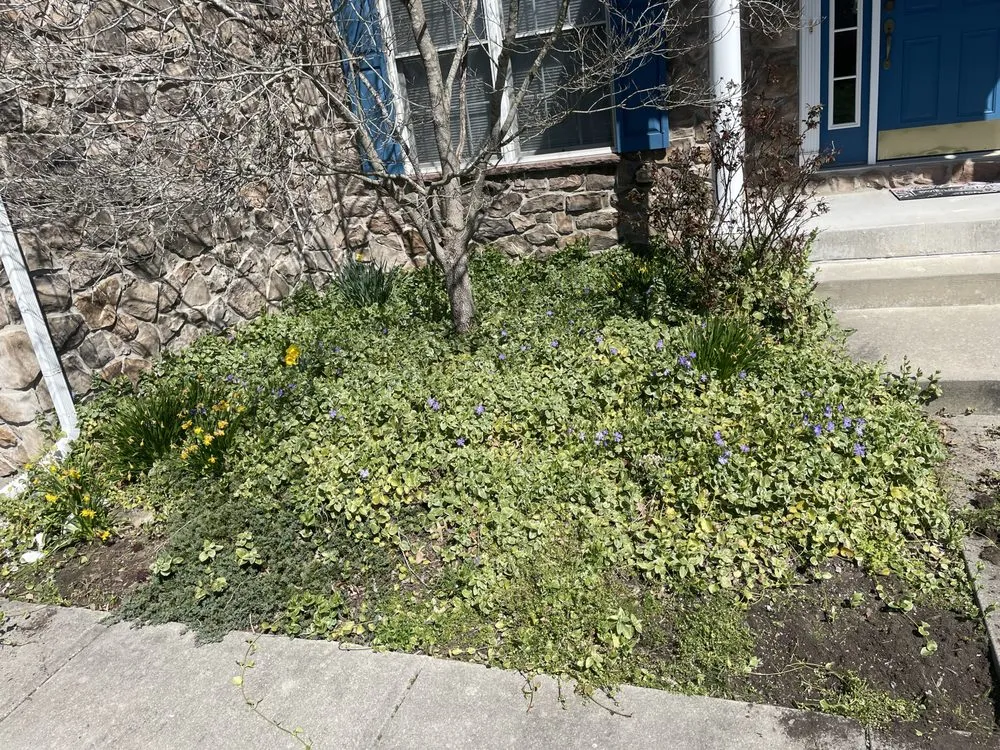 Top-rated yard maintenance for year-round maintenance in Milton, DE by Greenland Landscaping & Tree Service