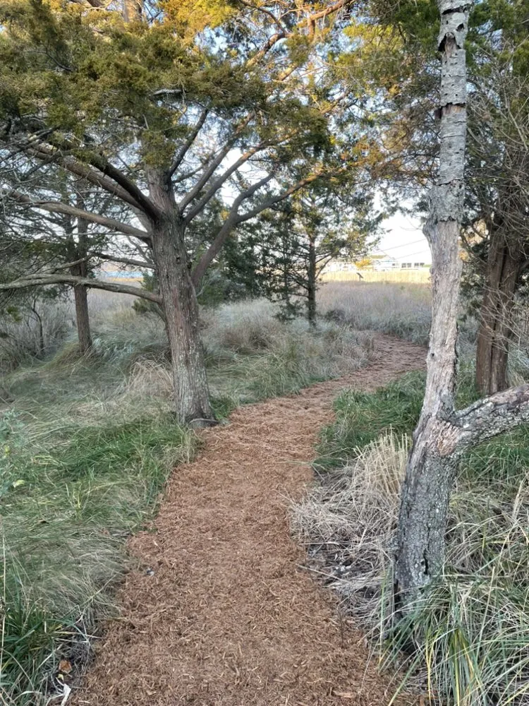 Affordable landscape design experts serving Milton, DE - Greenland Landscaping & Tree Service